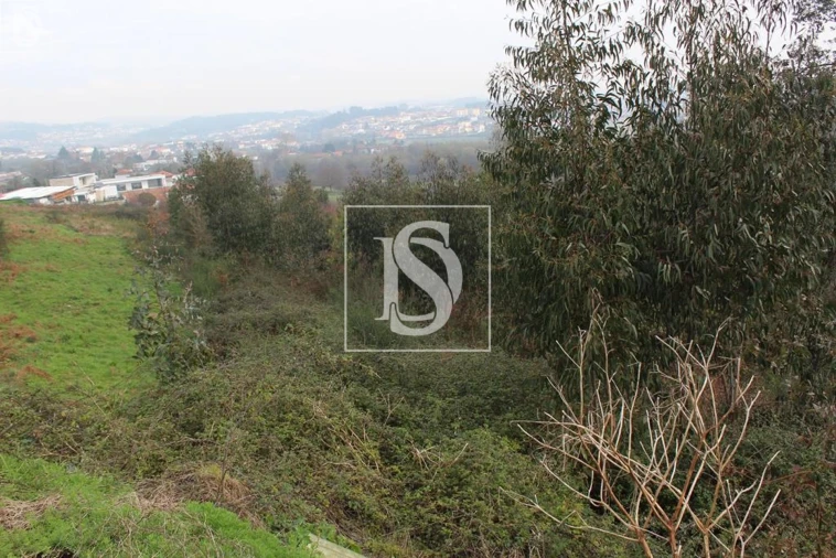 Quinta para Venda em Meixomil Foto 6