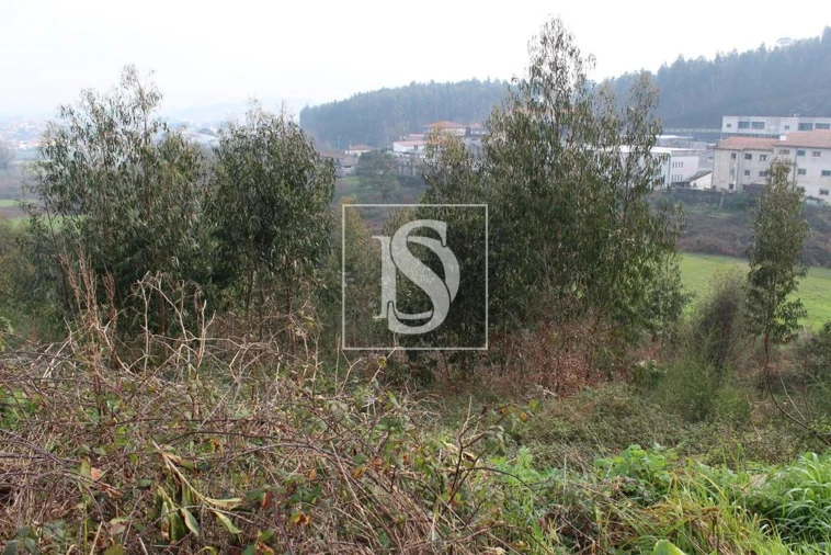 Quinta para Venda em Meixomil Foto 10