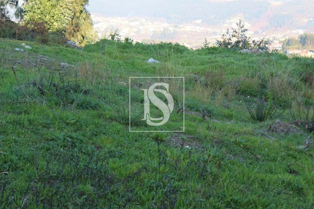 Terreno para Venda em Figueiras e Covas Foto 13