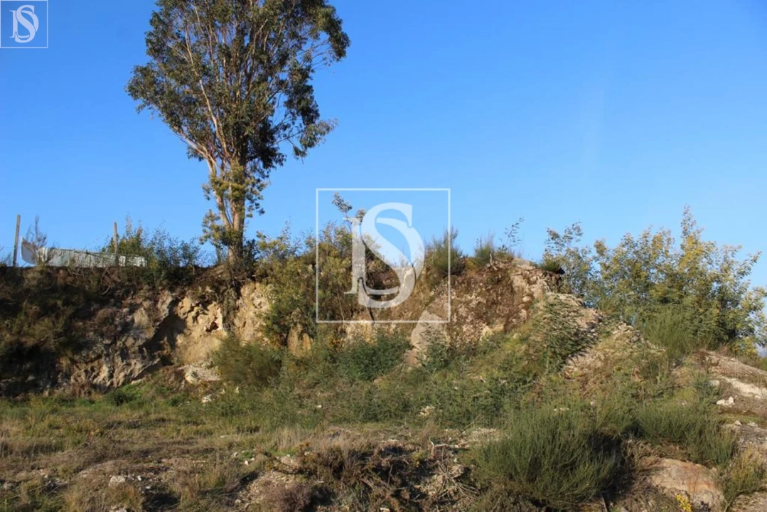 Terreno para Venda em Figueiras e Covas Foto 24