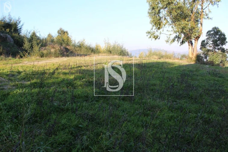 Terreno para Venda em Figueiras e Covas Foto 12