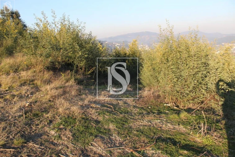 Terreno para Venda em Figueiras e Covas Foto 17