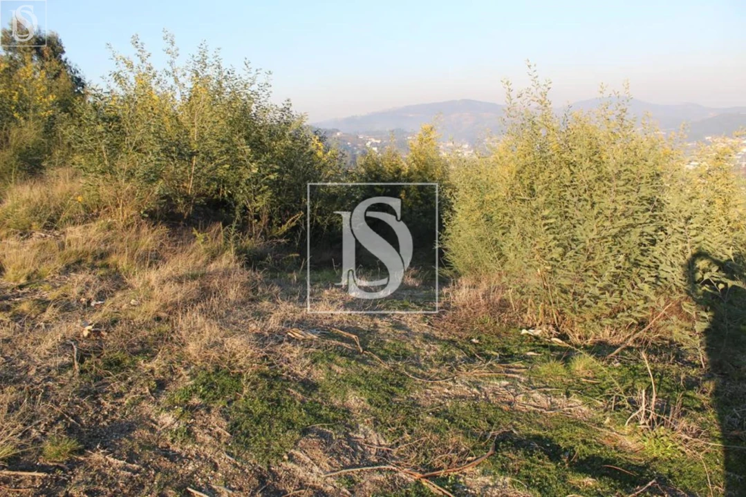 Terreno para Venda em Figueiras e Covas Foto 17