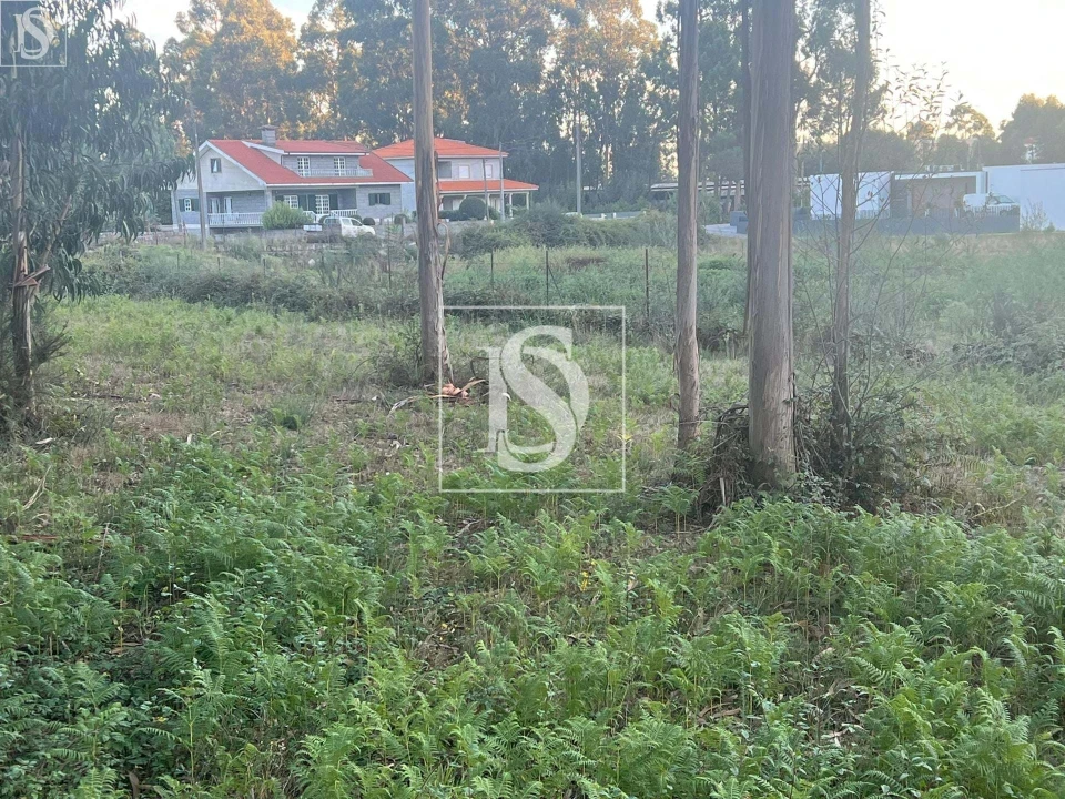 Terreno para Venda em Eiriz Foto 6