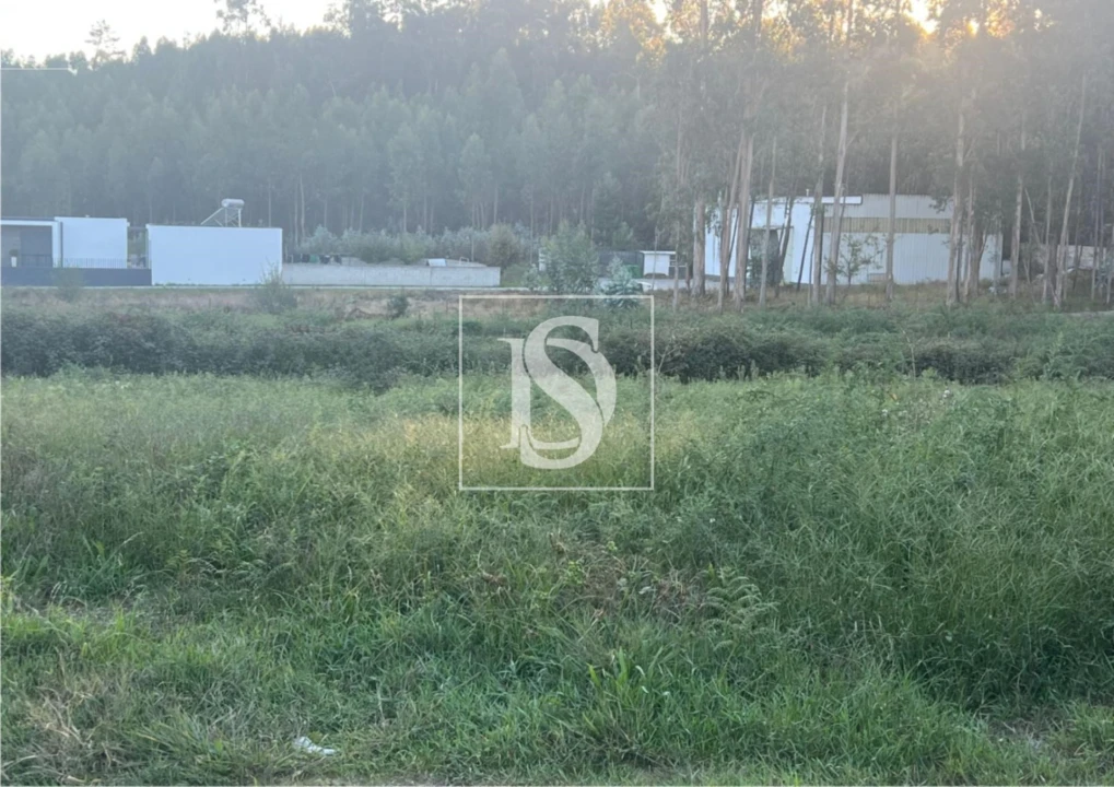 Terreno para Venda em Eiriz Foto 2