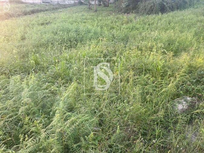 Terreno para Venda em Eiriz Foto 5