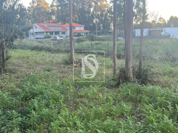Terreno para Venda em Eiriz Foto 6