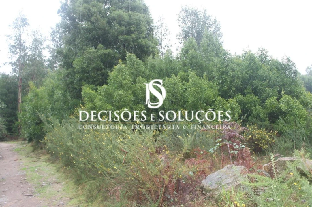 Terreno para Venda em Carvalhosa Foto 8