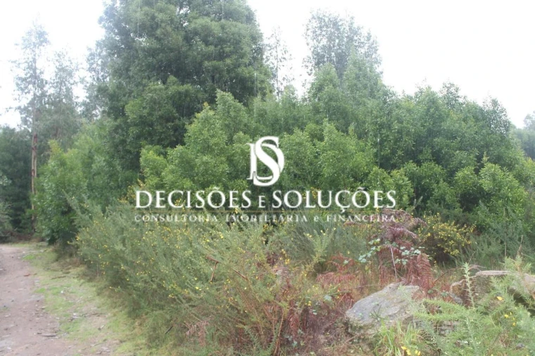 Terreno para Venda em Carvalhosa Foto 8