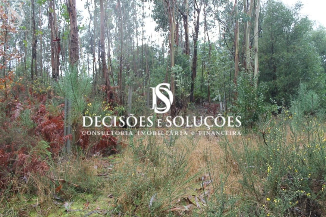 Terreno para Venda em Carvalhosa Foto 2