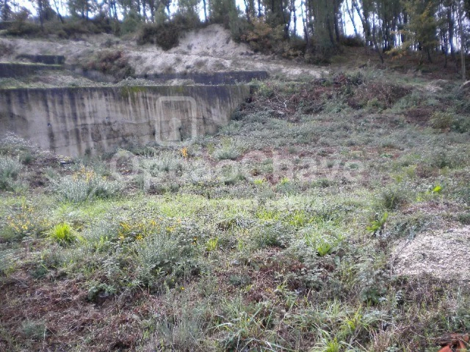 Terreno para Venda em Pindelo dos Milagres Foto 2