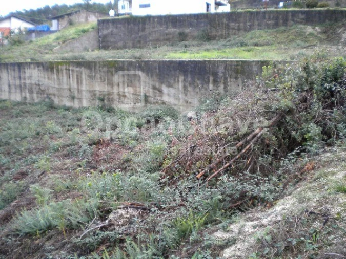 Terreno para Venda em Pindelo dos Milagres Foto 3