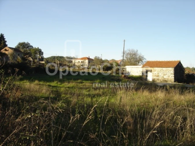 Terreno para Venda em Couto de Baixo e Couto de Cima