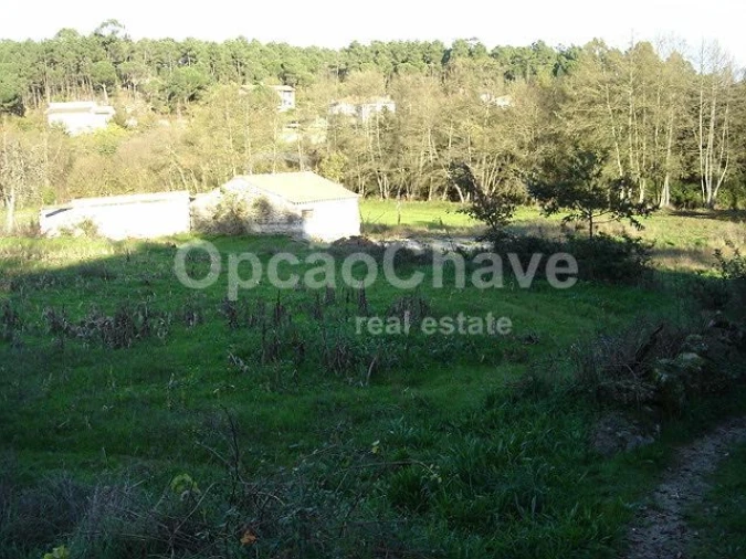 Terreno para Venda em Couto de Baixo e Couto de Cima Foto 5
