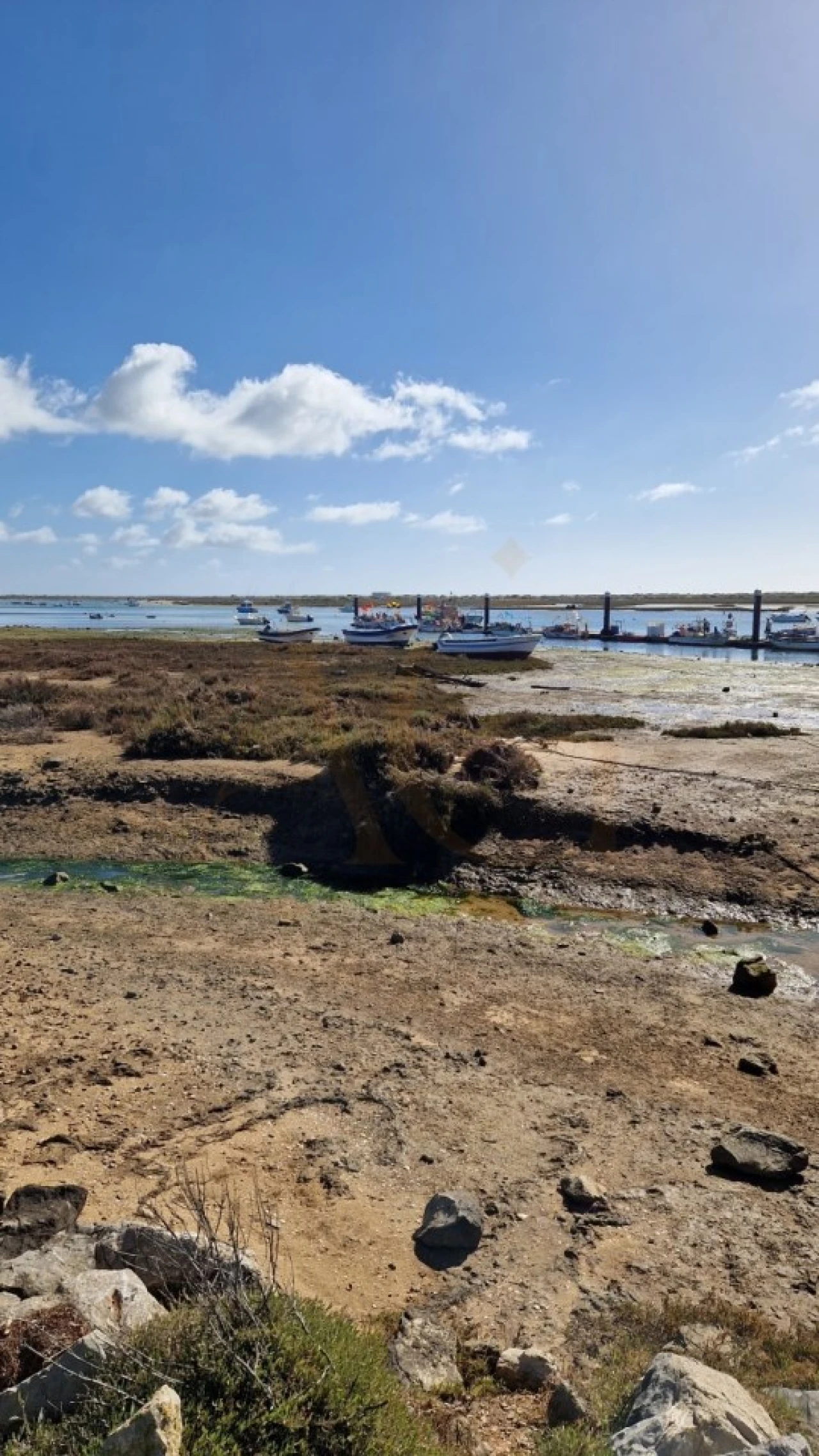 Apartamento T2 para Venda em Conceição e Cabanas de Tavira Foto 9