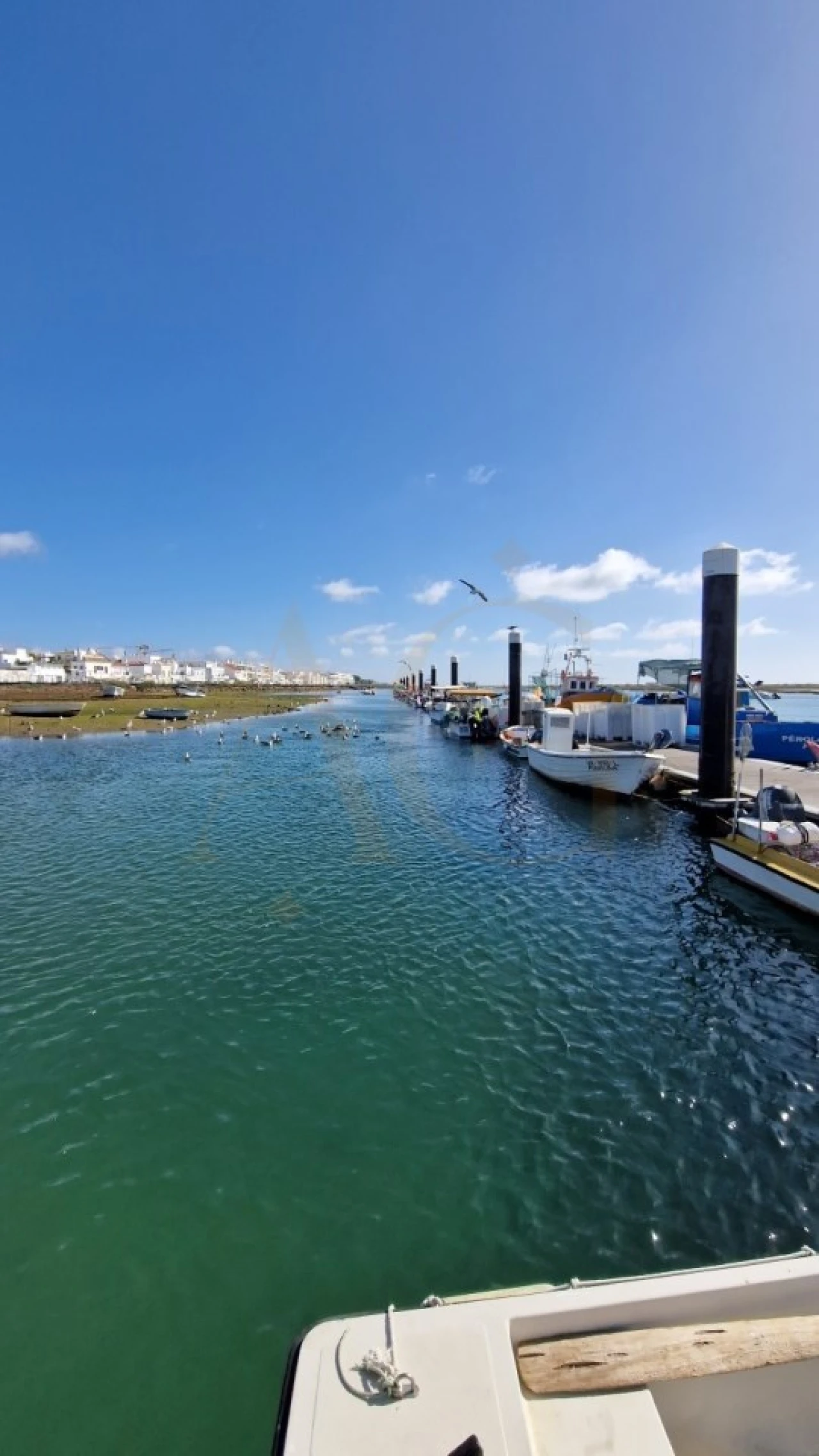 Apartamento T2 para Venda em Conceição e Cabanas de Tavira Foto 11