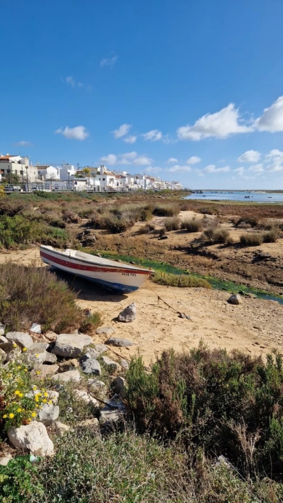 Apartamento T2 para Venda em Conceição e Cabanas de Tavira Foto 10
