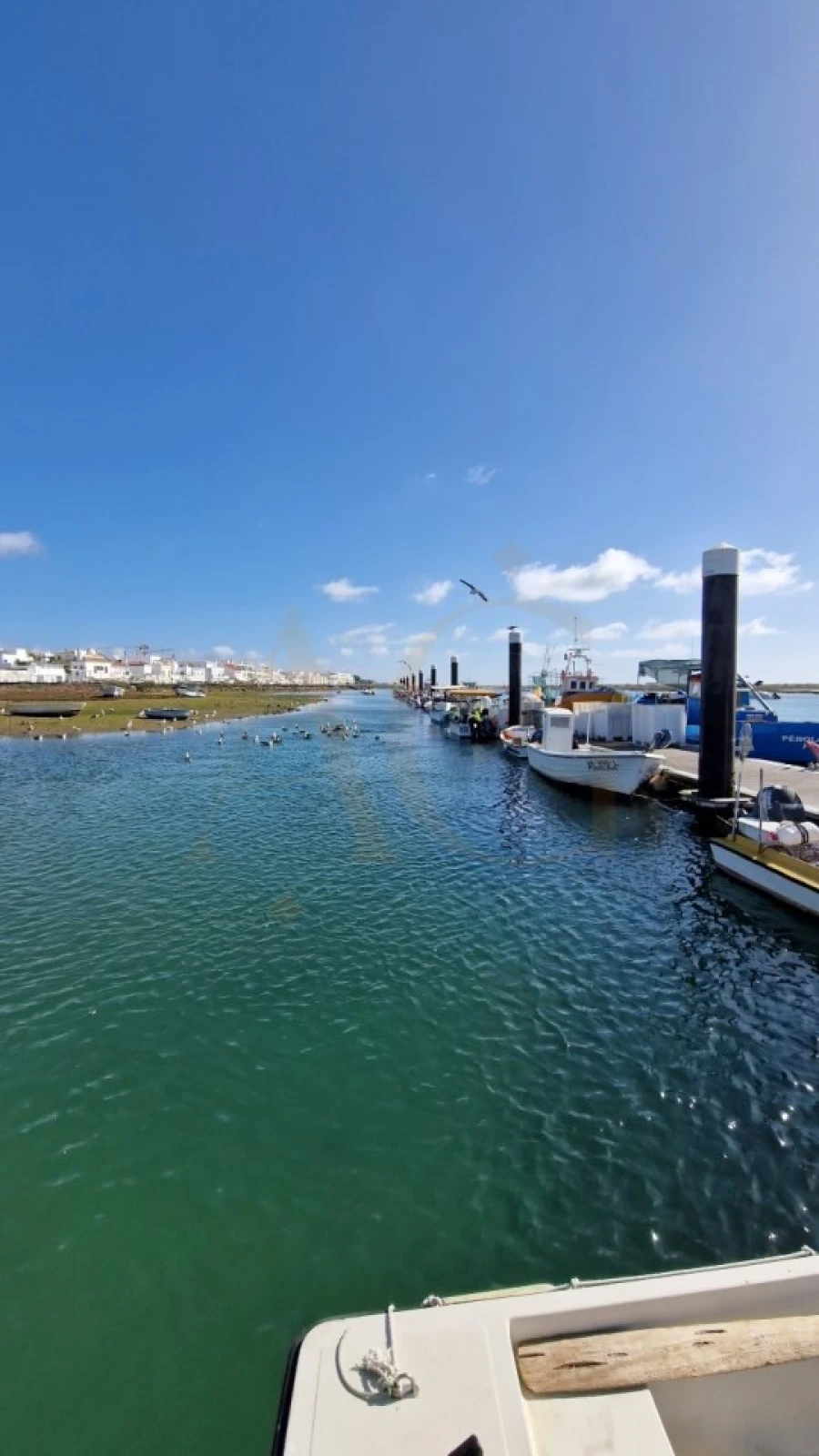 Apartamento T2 para Venda em Conceição e Cabanas de Tavira Foto 11
