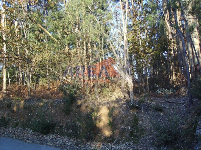 Terreno para Venda em São Roque Foto 4