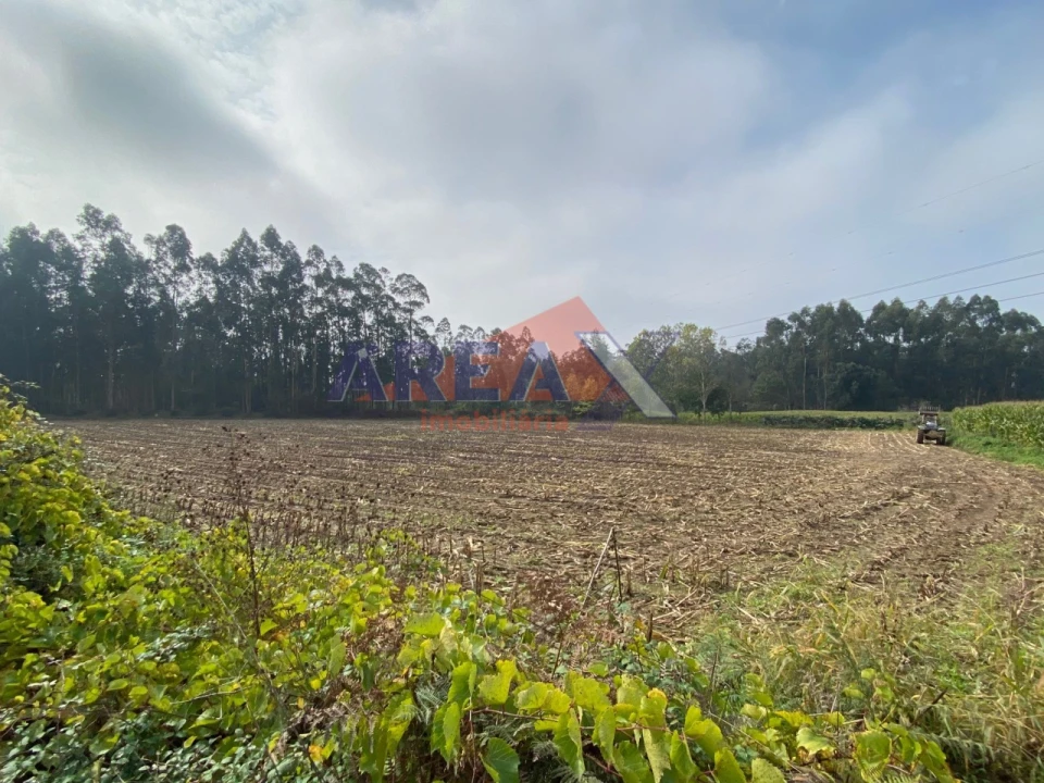 Terreno Comércio / Armazém para Venda em Loureiro Foto 9
