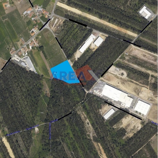 Terreno Comércio / Armazém para Venda em Loureiro Foto 4