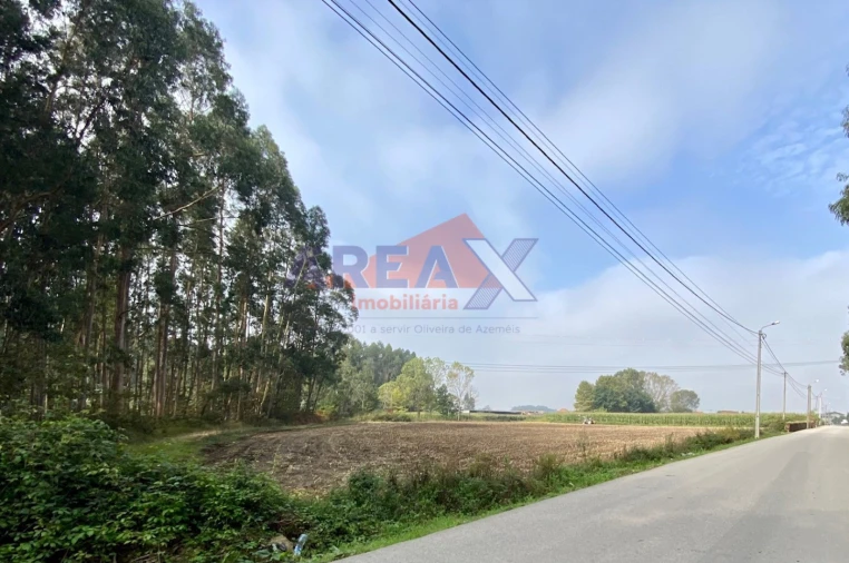 Terreno Comércio / Armazém para Venda em Loureiro Foto 1