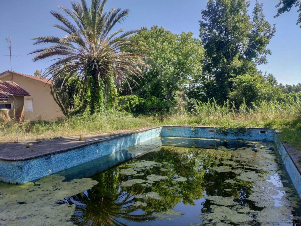 Quinta T6 para Venda em São João da Madeira Foto 32