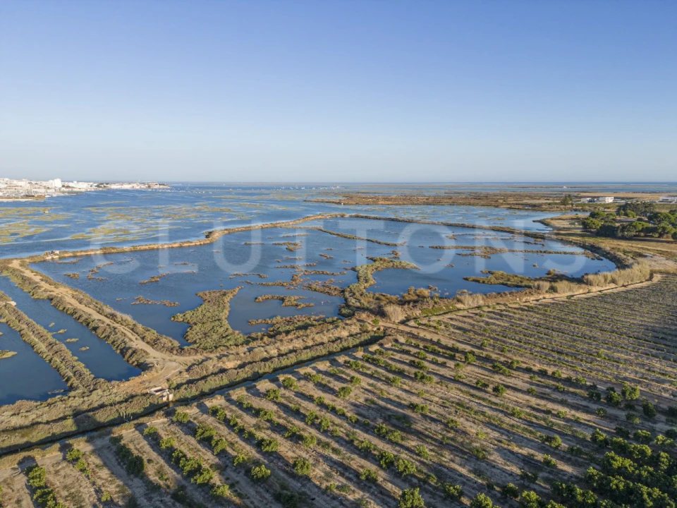 Moradia T4 para Venda em Montenegro Foto 19