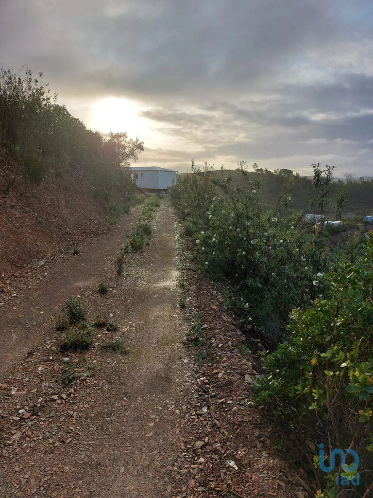 Terreno para Venda em Silves Foto 11