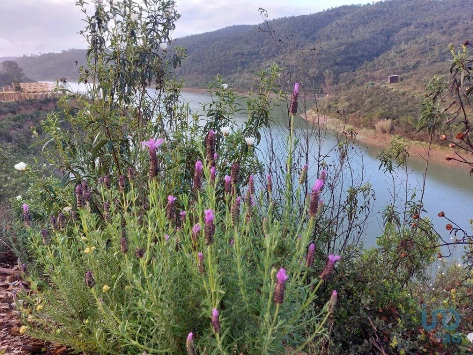 Terreno para Venda em Silves Foto 6