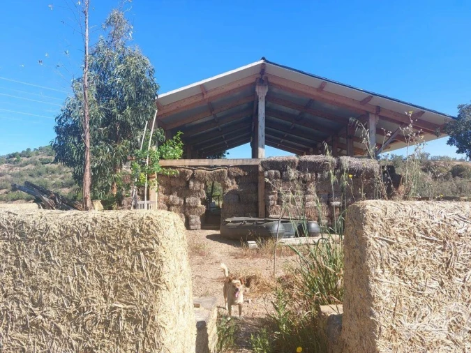 Terreno para Venda em Silves Foto 16