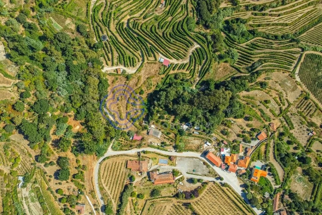 Moradia T1 para Venda em Santa Cruz do Douro e São Tomé de Covelas Foto 6