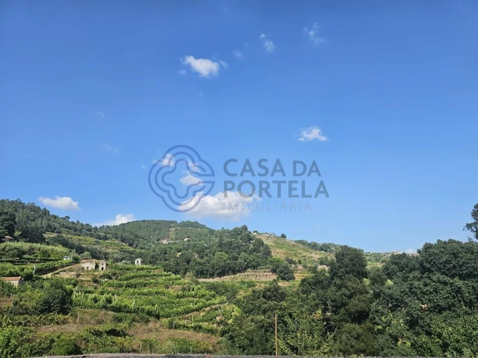 Moradia T1 para Venda em Santa Cruz do Douro e São Tomé de Covelas Foto 15