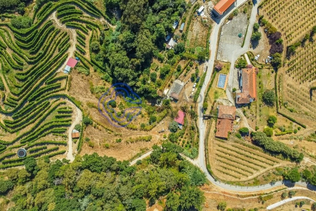 Moradia T1 para Venda em Santa Cruz do Douro e São Tomé de Covelas Foto 4