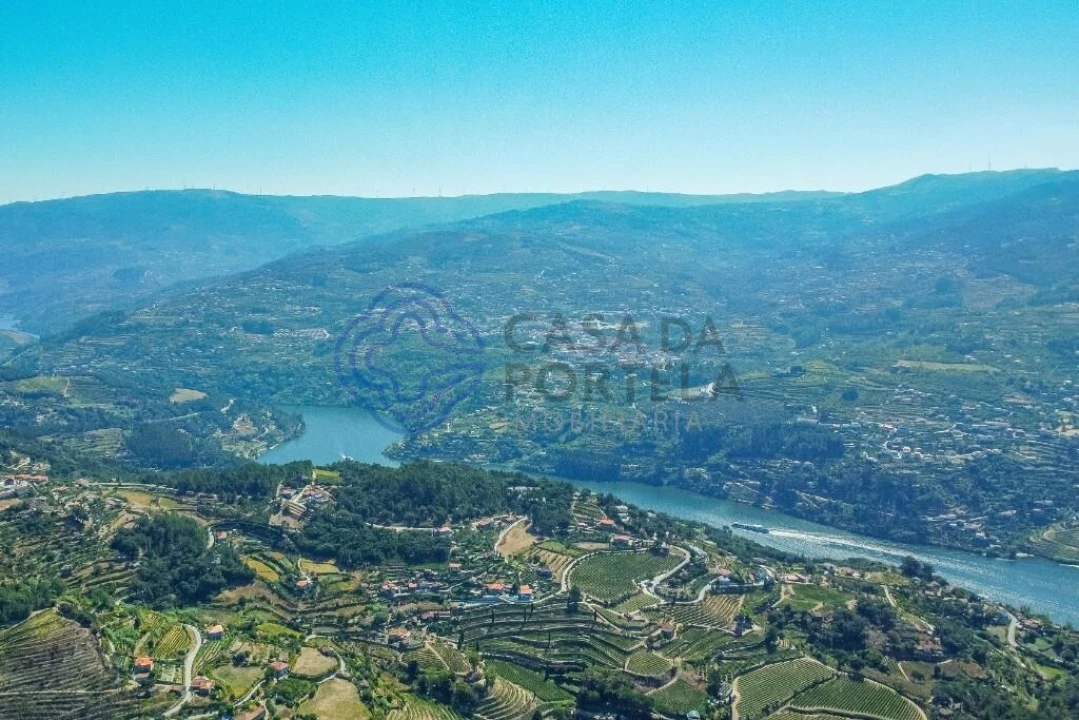 Moradia T1 para Venda em Santa Cruz do Douro e São Tomé de Covelas Foto 29
