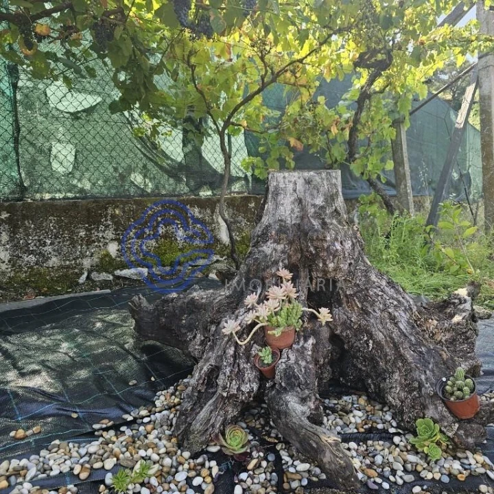 Moradia T1 para Venda em Santa Cruz do Douro e São Tomé de Covelas Foto 14