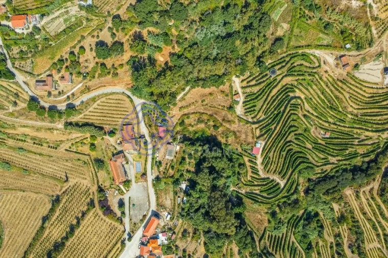 Moradia T1 para Venda em Santa Cruz do Douro e São Tomé de Covelas Foto 7