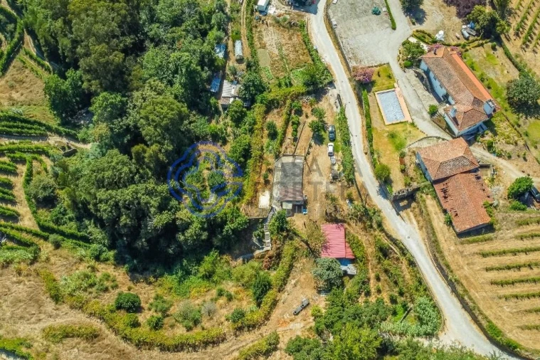 Moradia T1 para Venda em Santa Cruz do Douro e São Tomé de Covelas Foto 8