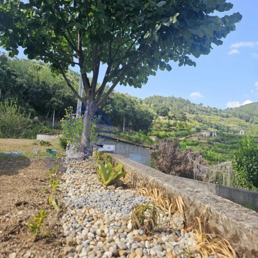 Moradia T1 para Venda em Santa Cruz do Douro e São Tomé de Covelas Foto 12