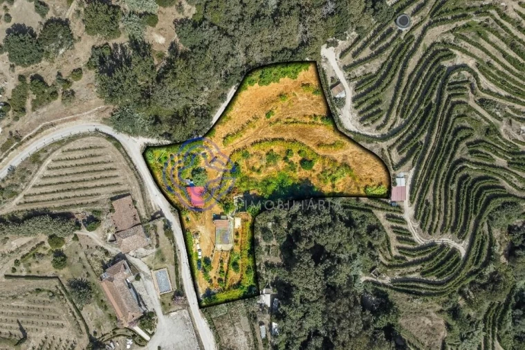 Moradia T1 para Venda em Santa Cruz do Douro e São Tomé de Covelas Foto 2