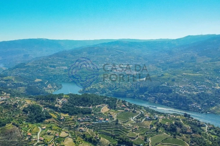 Moradia T1 para Venda em Santa Cruz do Douro e São Tomé de Covelas Foto 29