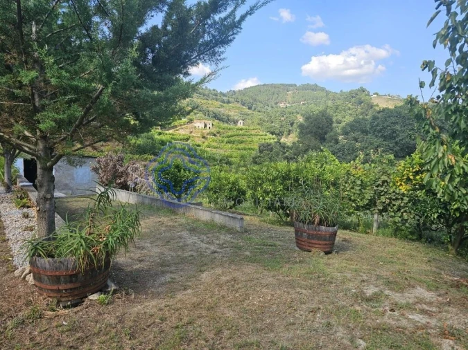 Moradia T1 para Venda em Santa Cruz do Douro e São Tomé de Covelas Foto 13