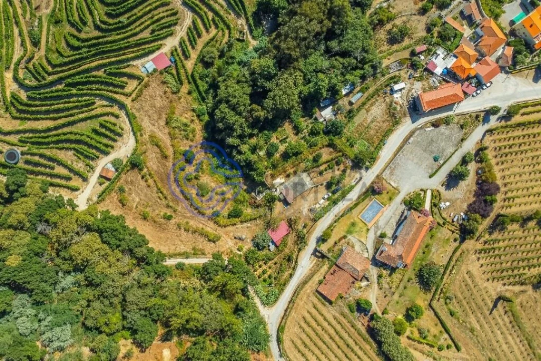 Moradia T1 para Venda em Santa Cruz do Douro e São Tomé de Covelas Foto 5