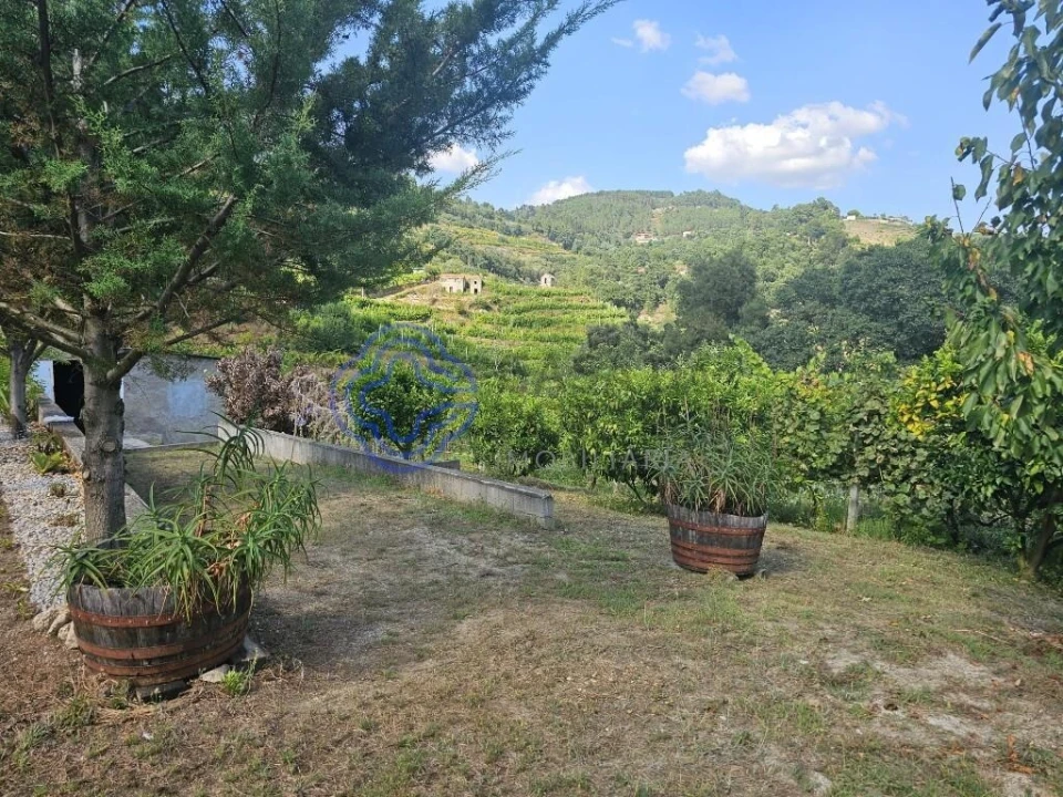 Moradia T1 para Venda em Santa Cruz do Douro e São Tomé de Covelas Foto 13