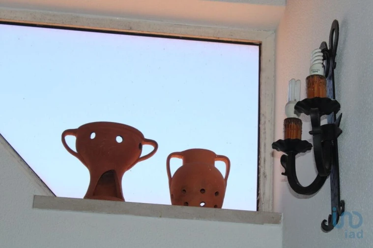 Negócio para Venda em Alter do Chão Foto 5