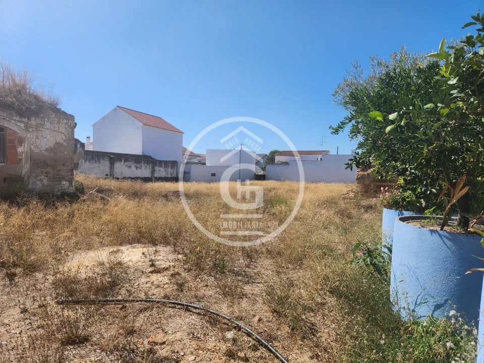 Negócio para Venda em Alpiarça Foto 1