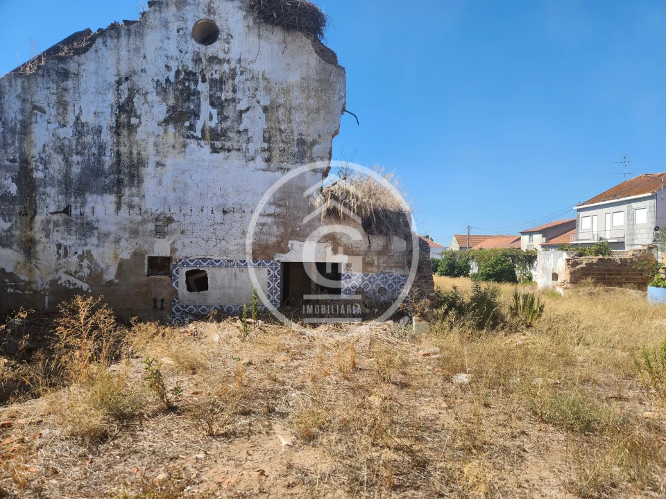Negócio para Venda em Alpiarça Foto 6
