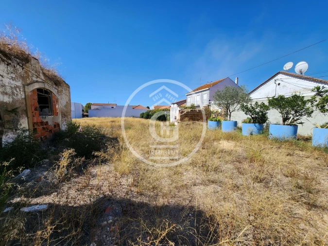 Negócio para Venda em Alpiarça Foto 5