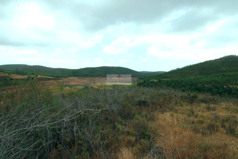Terreno para Venda em Lagos (São Sebastião e Santa Maria) Foto 9