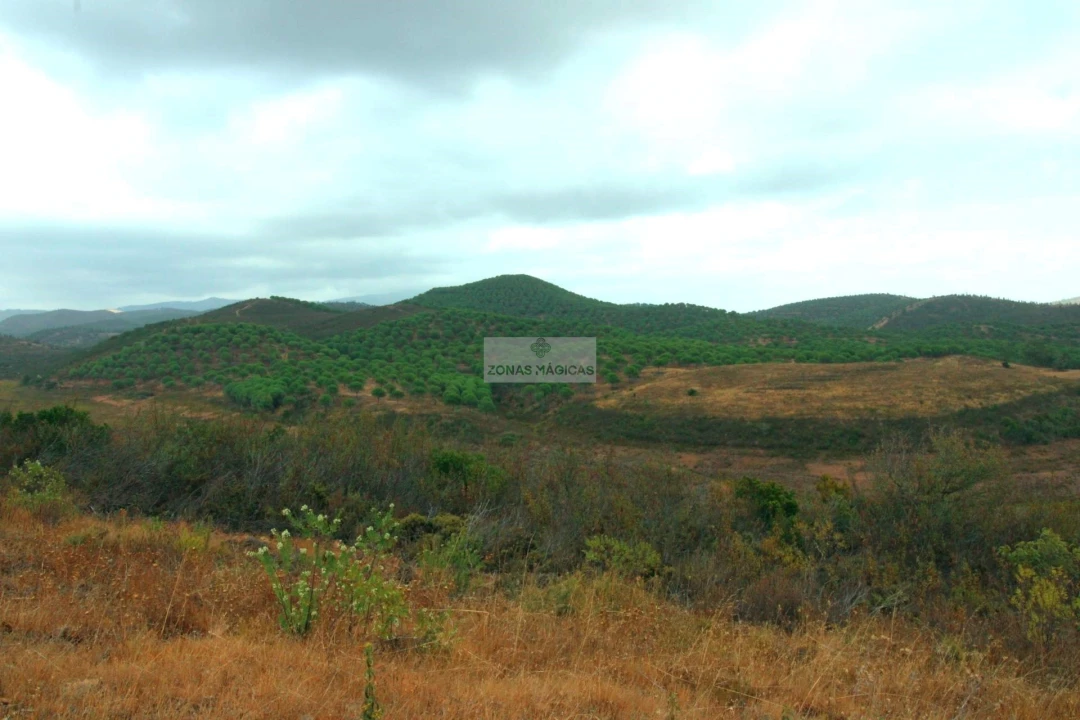 Terreno para Venda em Lagos (São Sebastião e Santa Maria) Foto 11